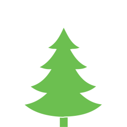 Smrk pichlavý 150-200cm