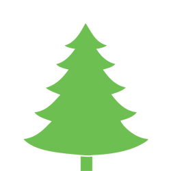 Jedle Nordmann Standard 175-200cm