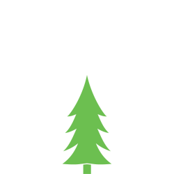 Smrk ztepilý 150-175cm