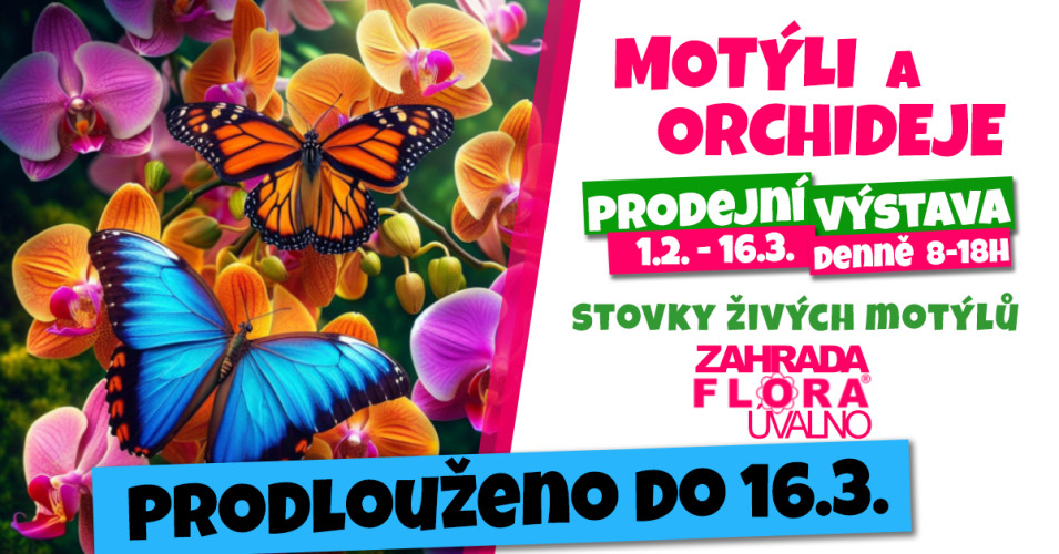 Motýli a orchideje - PRODLOUŽENO DO 16.3.