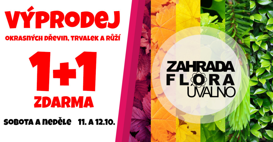 Výprodej okrasných dřevin 1+1 ZDARMA