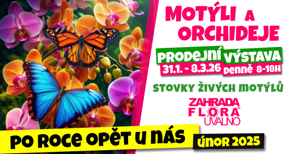 Motýli a orchideje - prodejní výstava