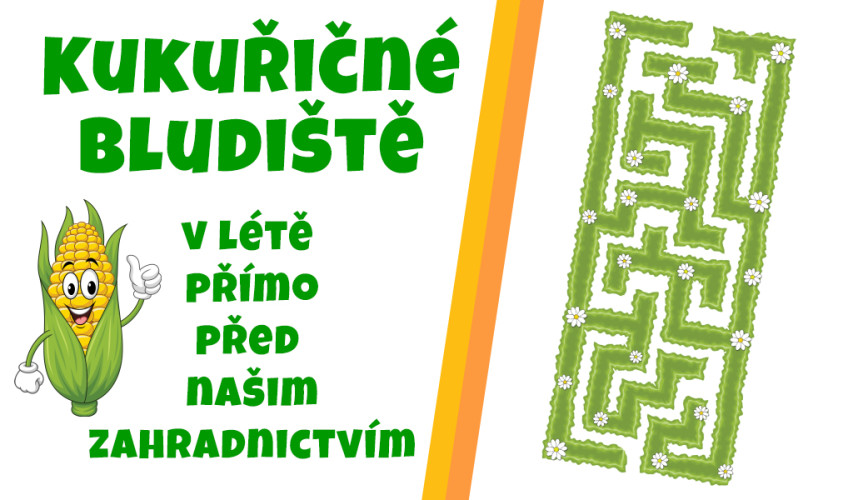 Kukuřičné bludiště u zahradnictví v Úvalně