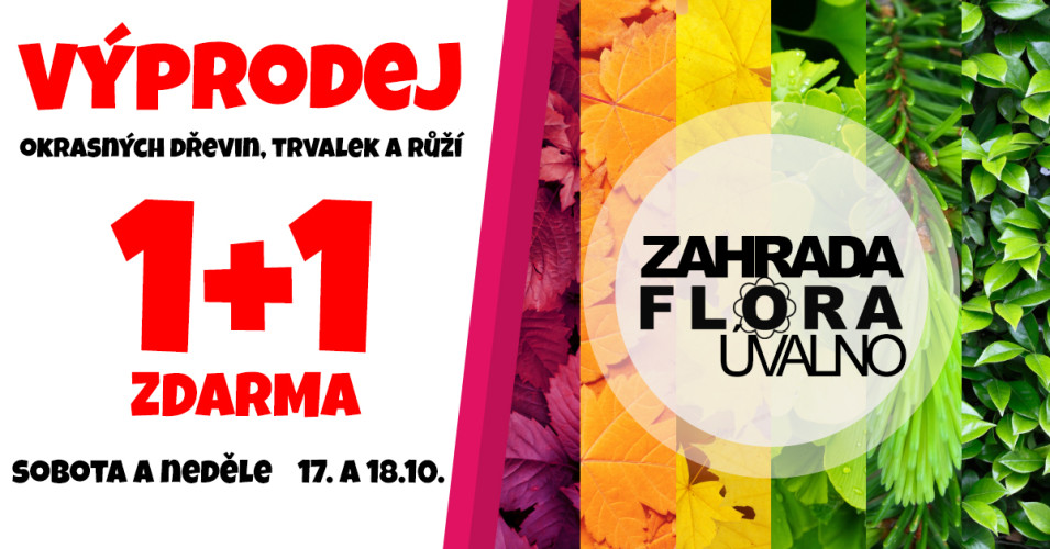 Výprodej okrasných dřevin, trvalek a růží 1+1 zdarma