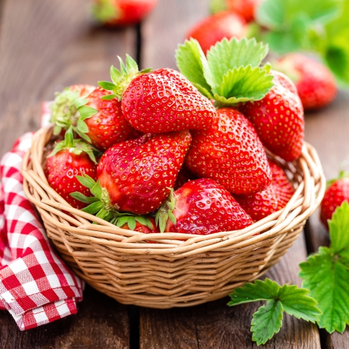 Strawberry planting