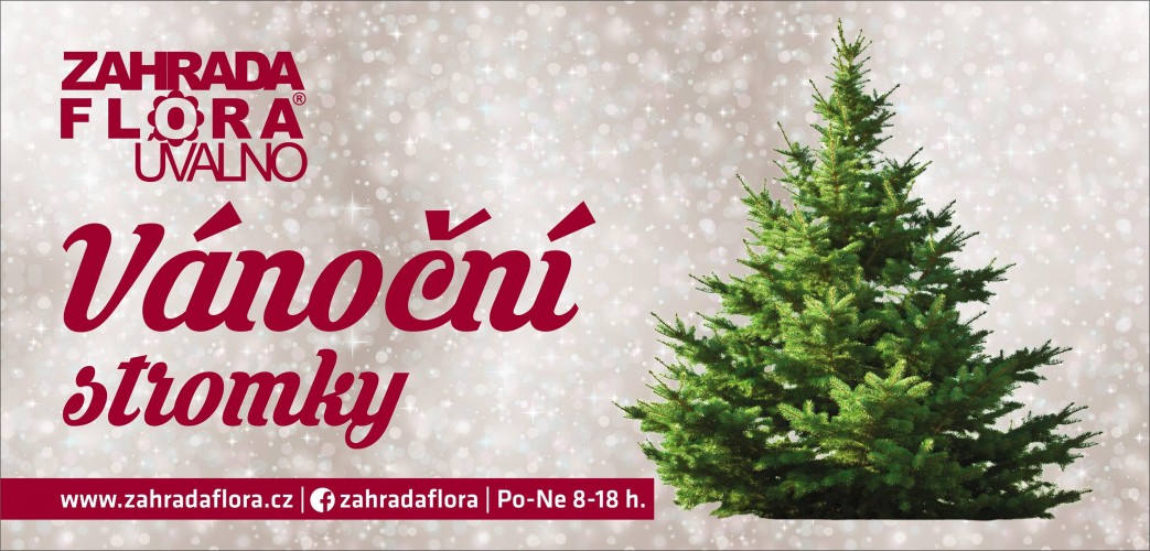 Prodej vánočních stromků