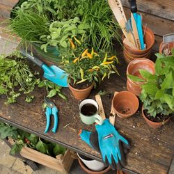 Gardening equipment & tools