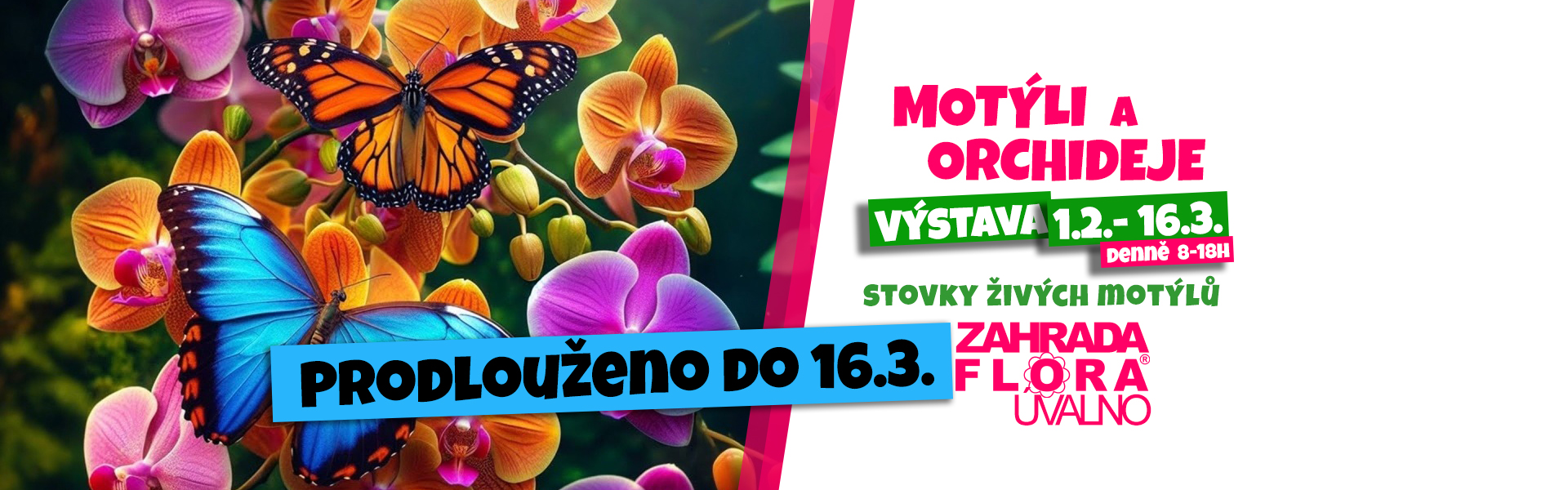 <p data-aos=fade-up><a href="https://www.zahradaflora.cz/tematicke-akce/">Více zde</a></p>